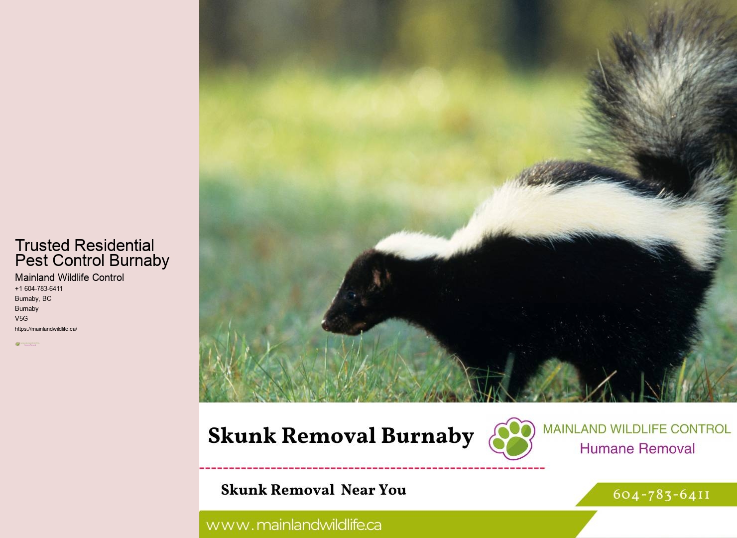 Remarkable Pest Control Services Burnaby