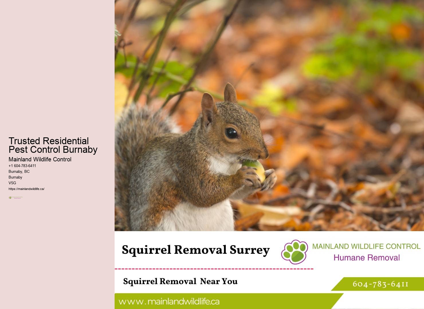 Trusted Pest Control Services Burnaby
