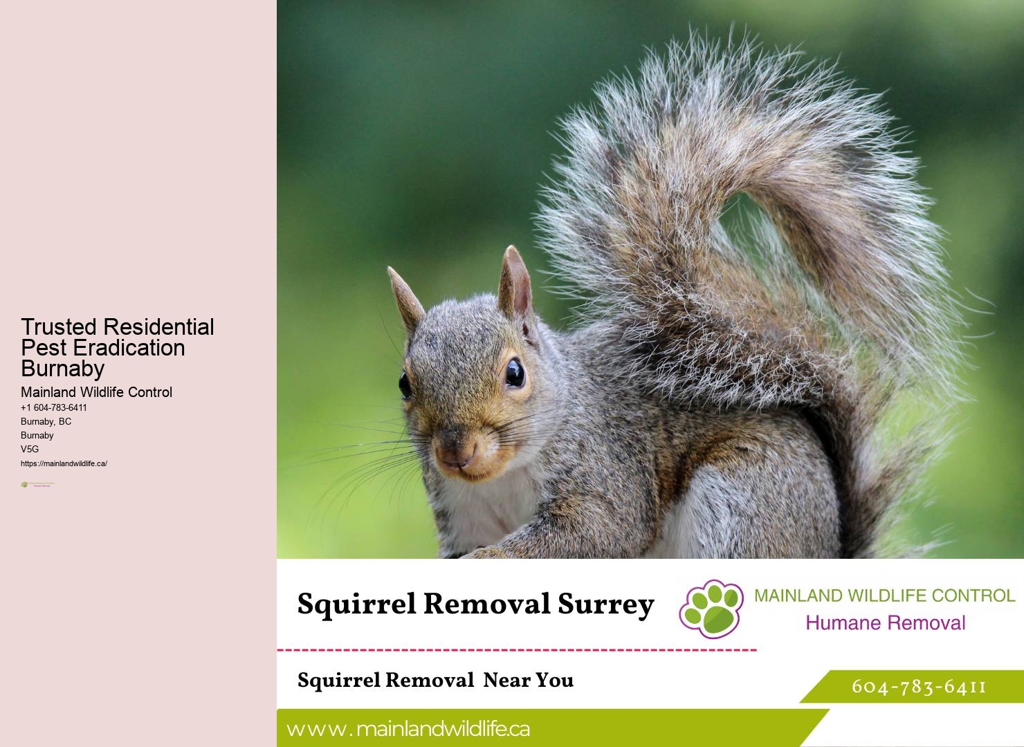Commercial Pest Solutions Burnaby