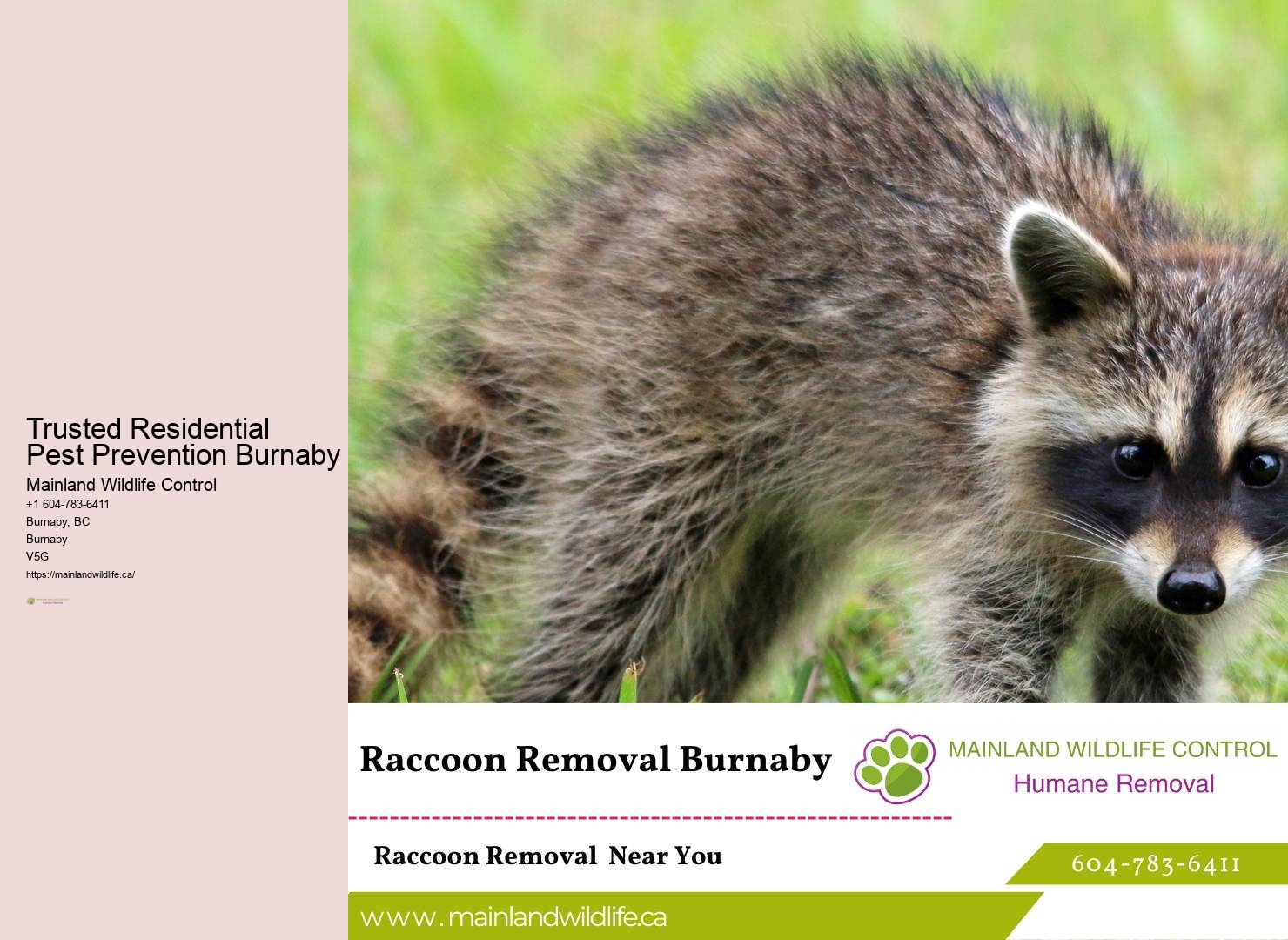 Trusted Residential Pest Control Burnaby