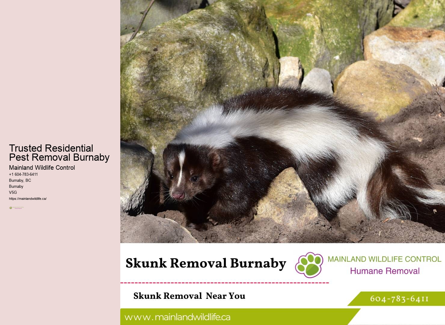 Mosquito Control Burnaby