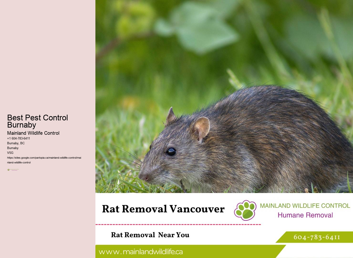 Bonded Pest Control Burnaby