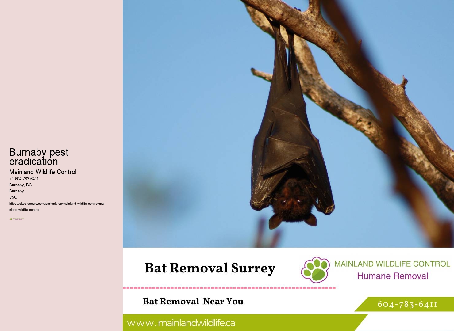 Reliable Commercial Pest Extermination Burnaby