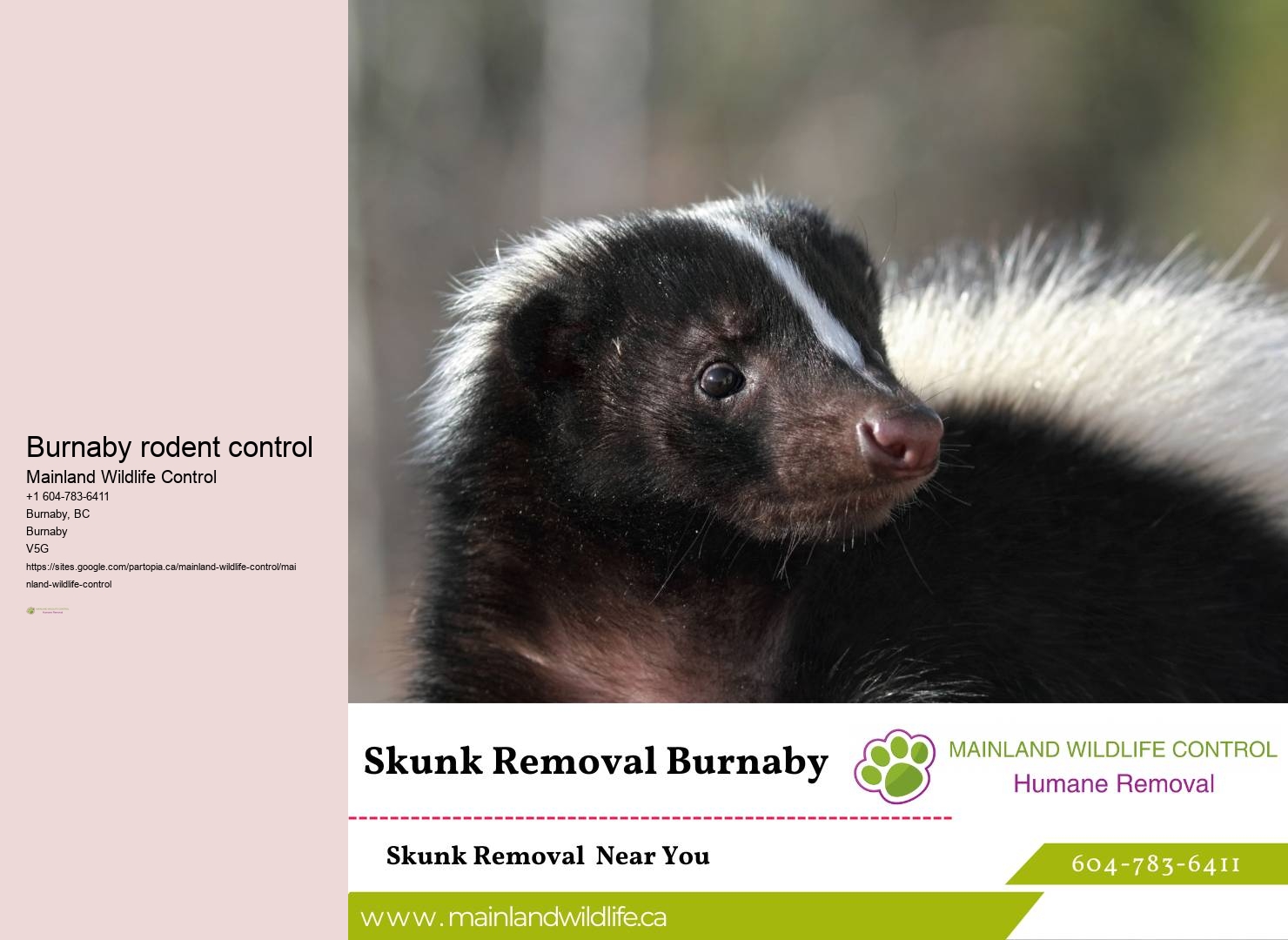 Proven Commercial Pest Eradication Burnaby