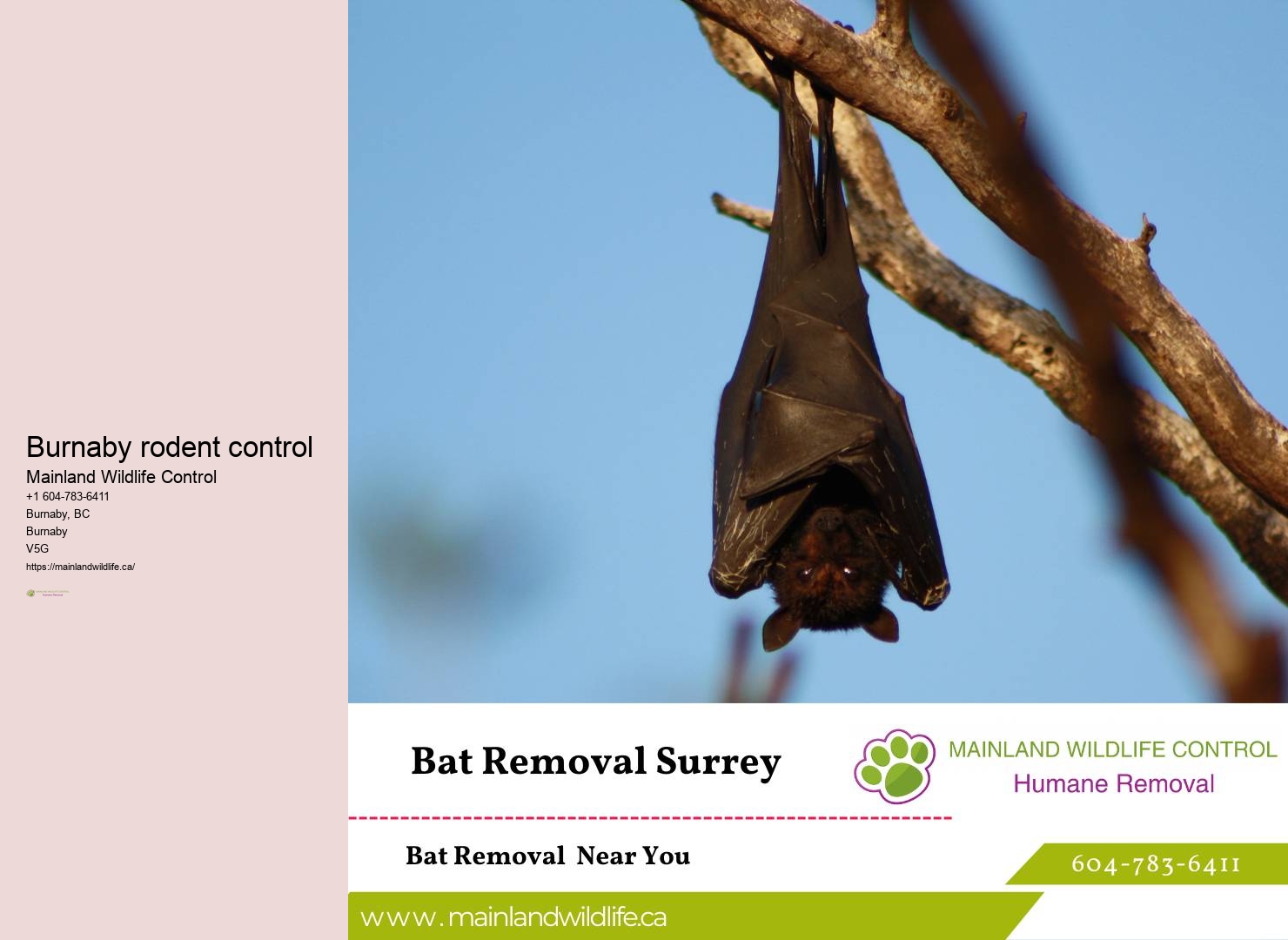 Eco-friendly pest control Burnaby