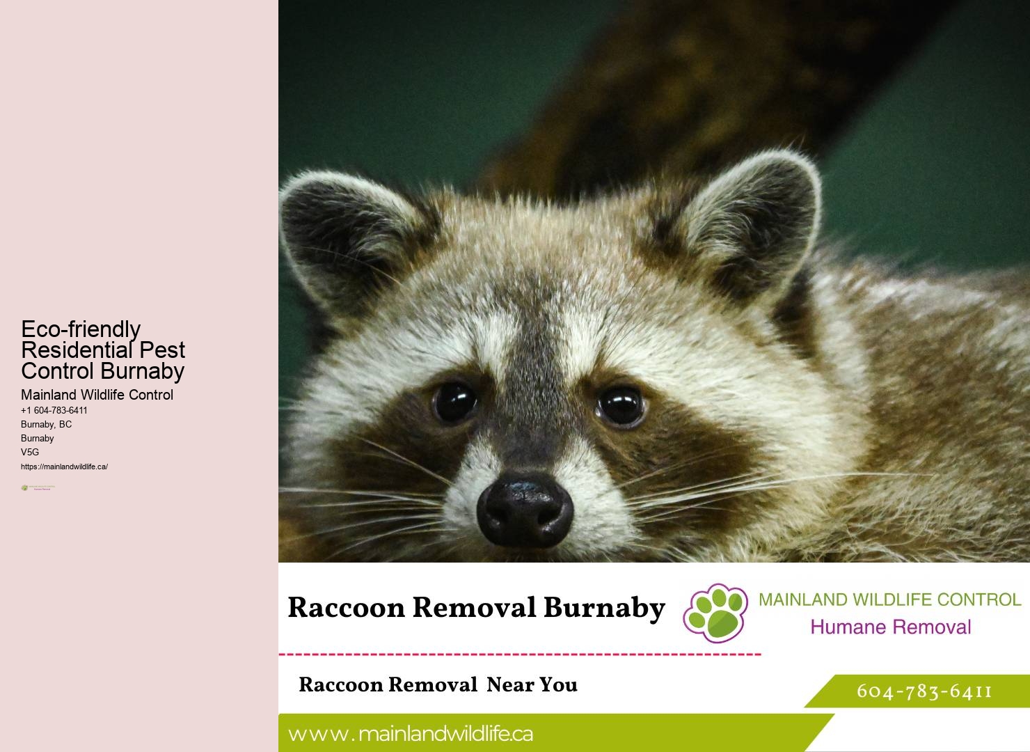 Customized Pest Control Burnaby