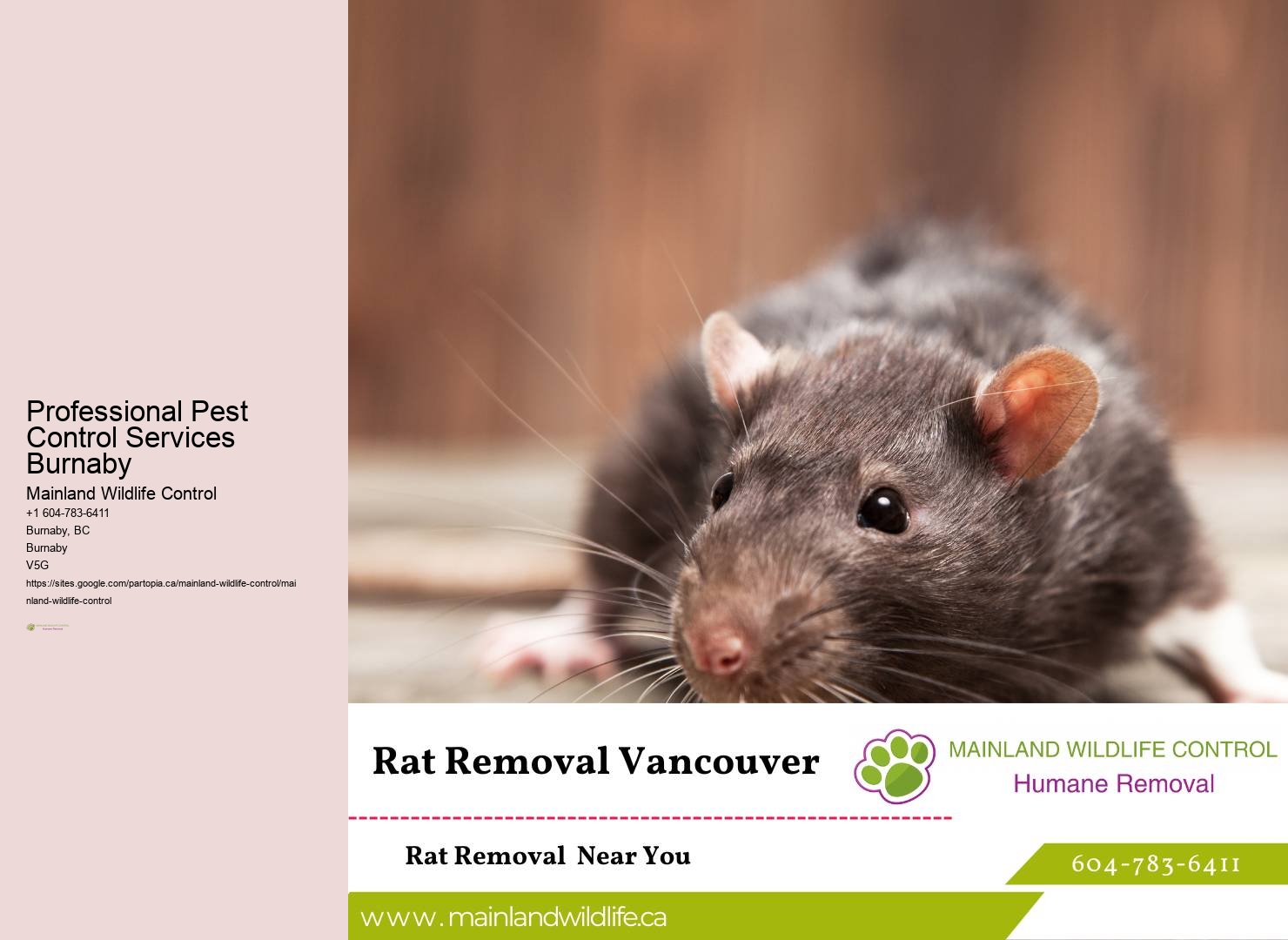 Targeted Pest Control Treatments Burnaby
