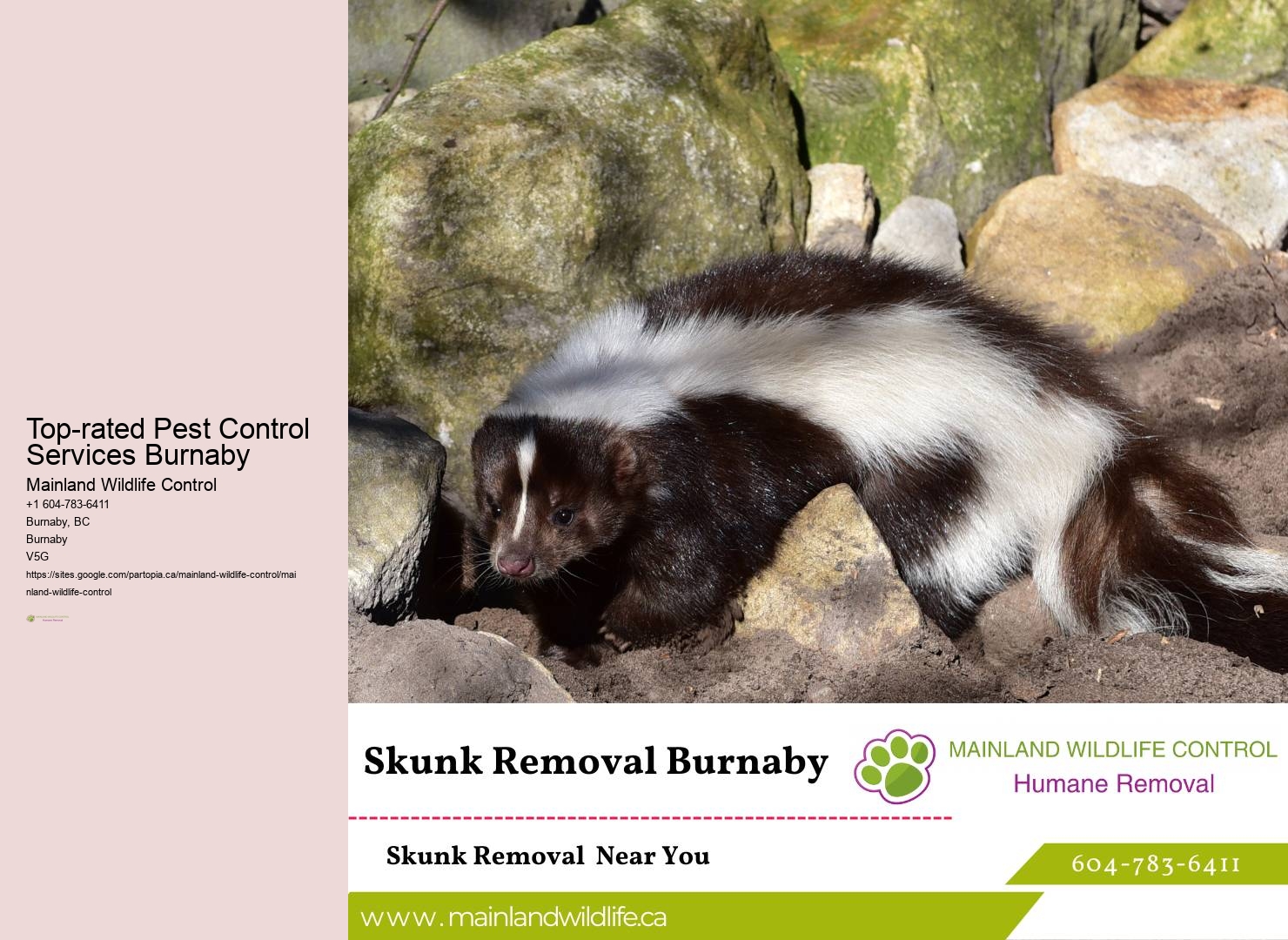 Quality Pest Control Assurance Burnaby